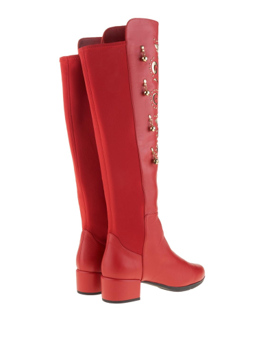 AZALEA ELASTICA DORADO 45